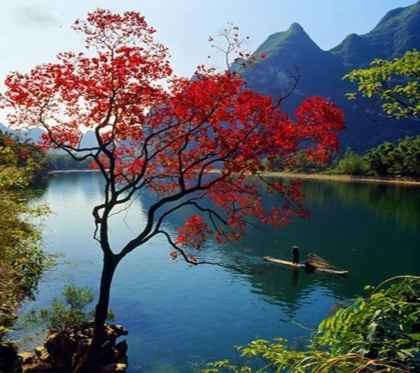 япония арашияма осенью киото