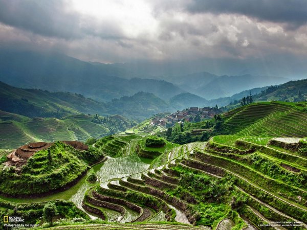 рисовые террасы лунцзи в китае