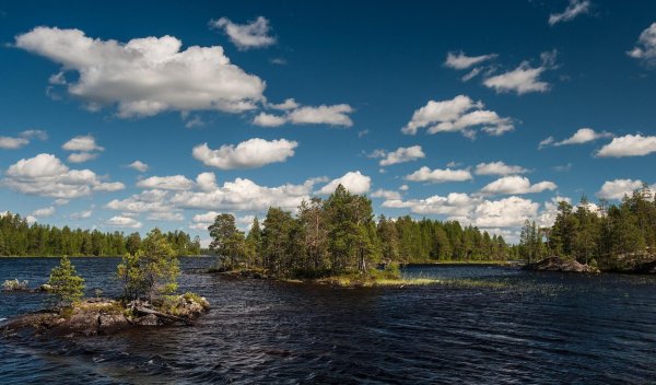 ковдозеро карелия