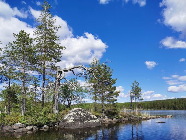 тикшеозеро озёра карелии