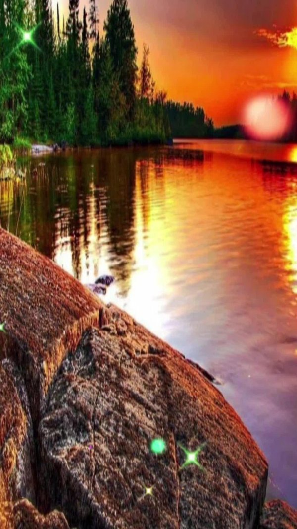 Природа карелия