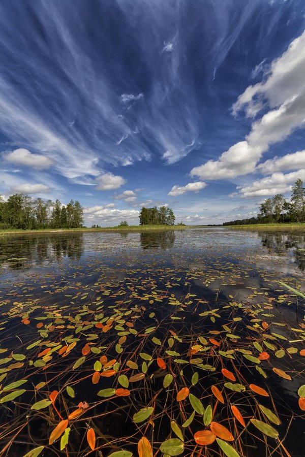 природа в карелии