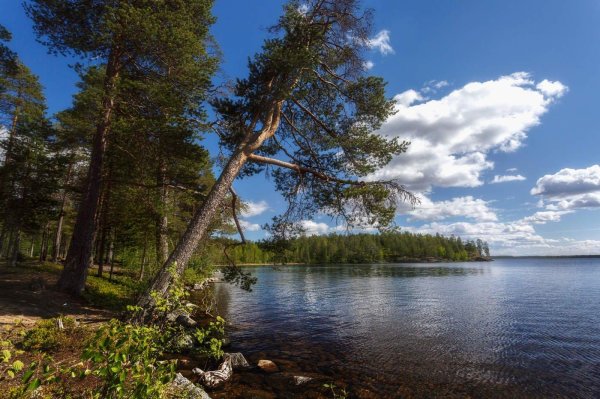 озеро куйто