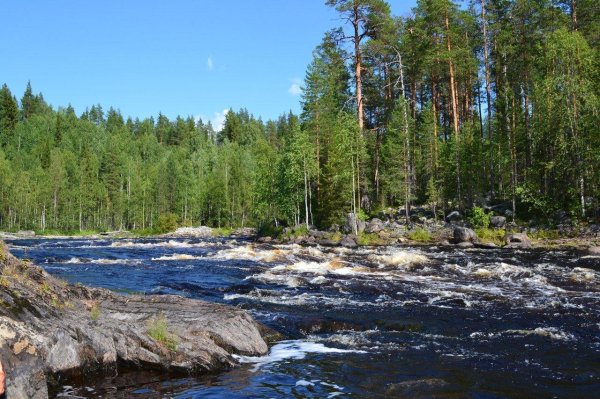 порожистые реки карелии