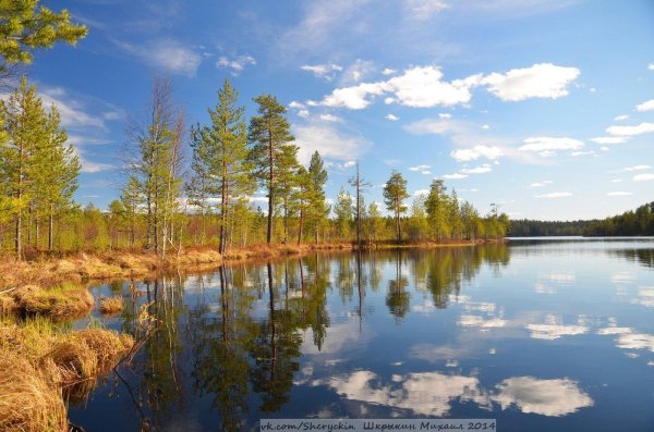 озеро ламбушка в карелии