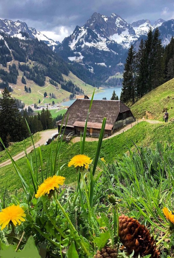 природа швейцарии