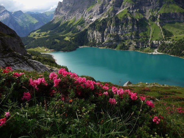 альпийские луга новая зеландия