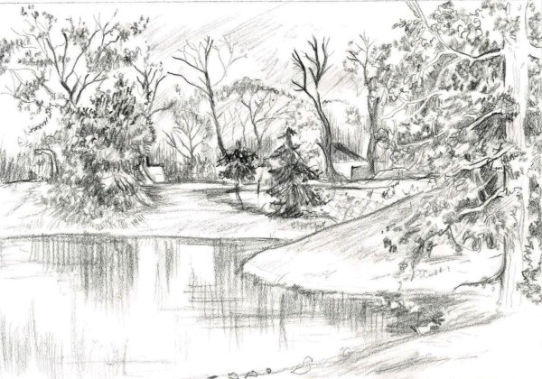 природа карандашом