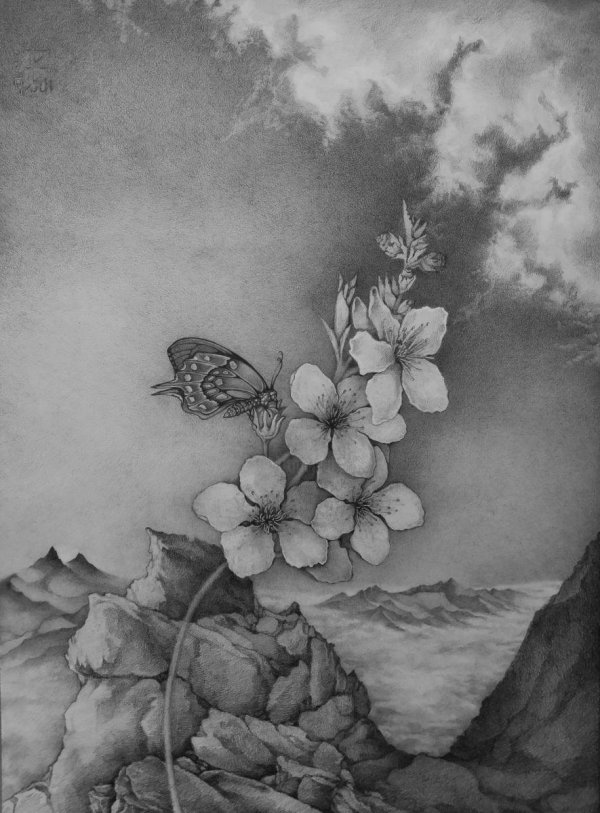 природа карандашом