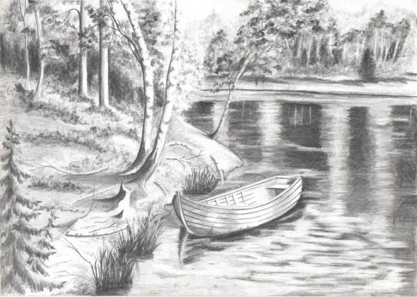 природа карандашом