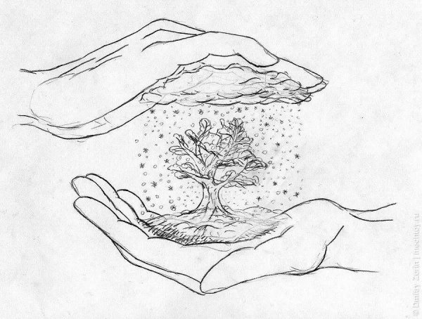 рисунок природы для срисовки