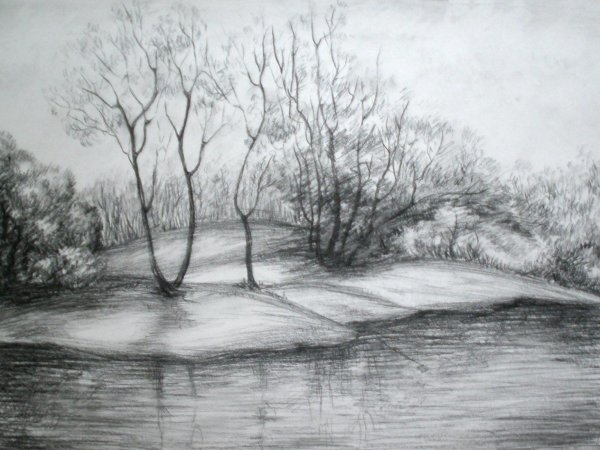 природа карандашом
