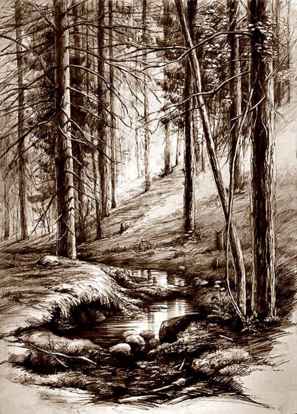 шишкин офорт тайга