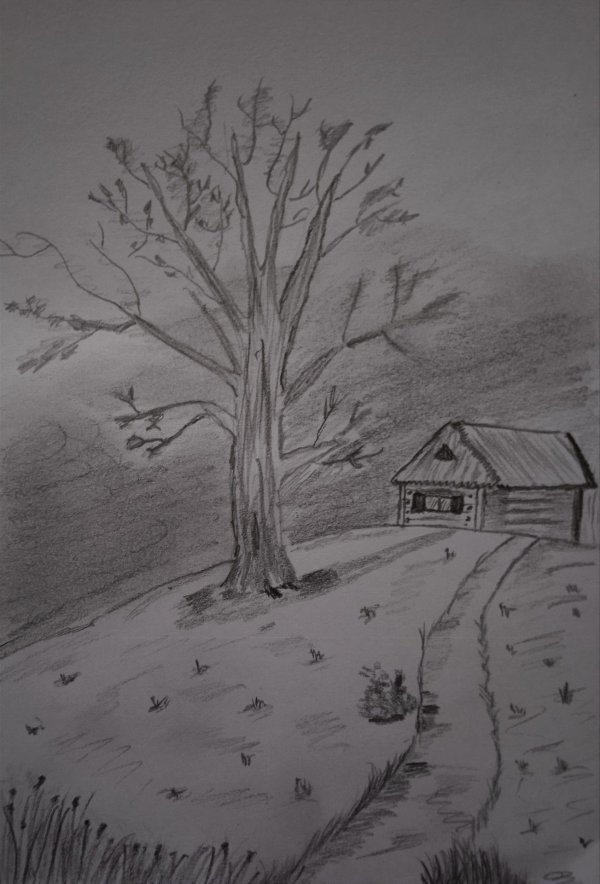 простой пейзаж карандашом