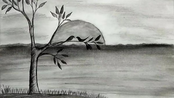 рисунок природы для срисовки