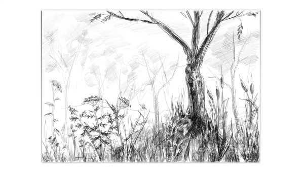 зарисовка пейзажа