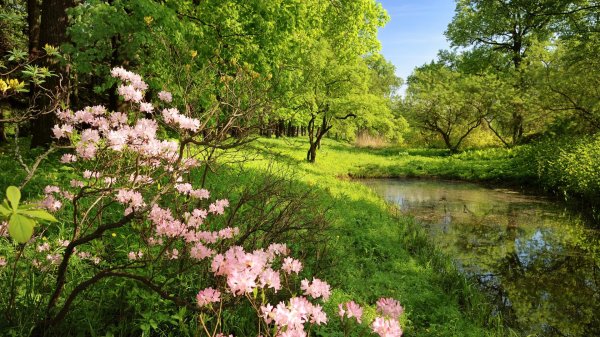 красивые пейзажи весны
