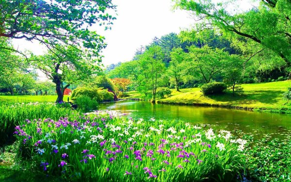 сад кёкенхоф нидерланды