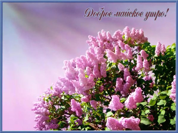 доброго майского утра
