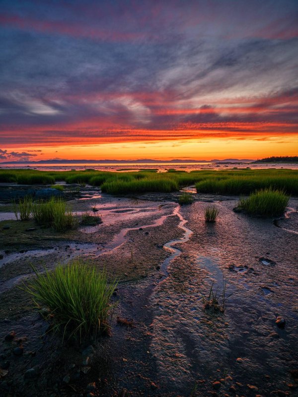 красота природа