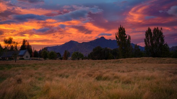 новая зеландия фото природы