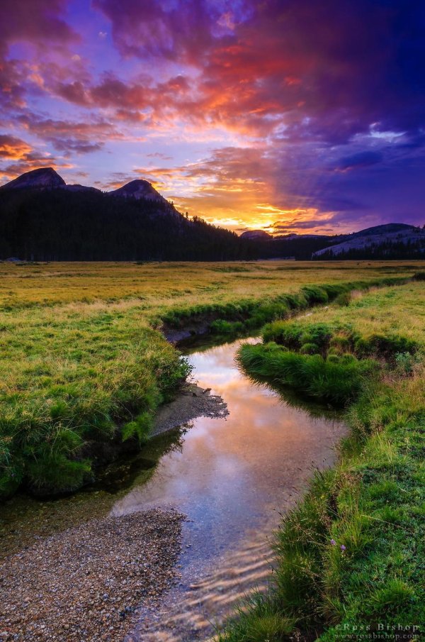 удивительная природа