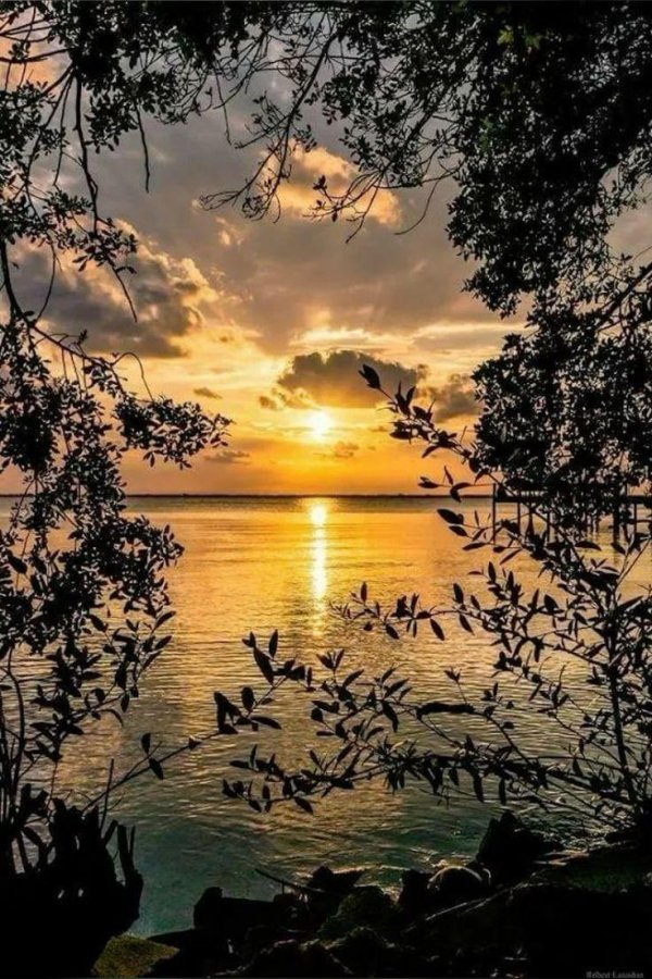 пейзаж вечер