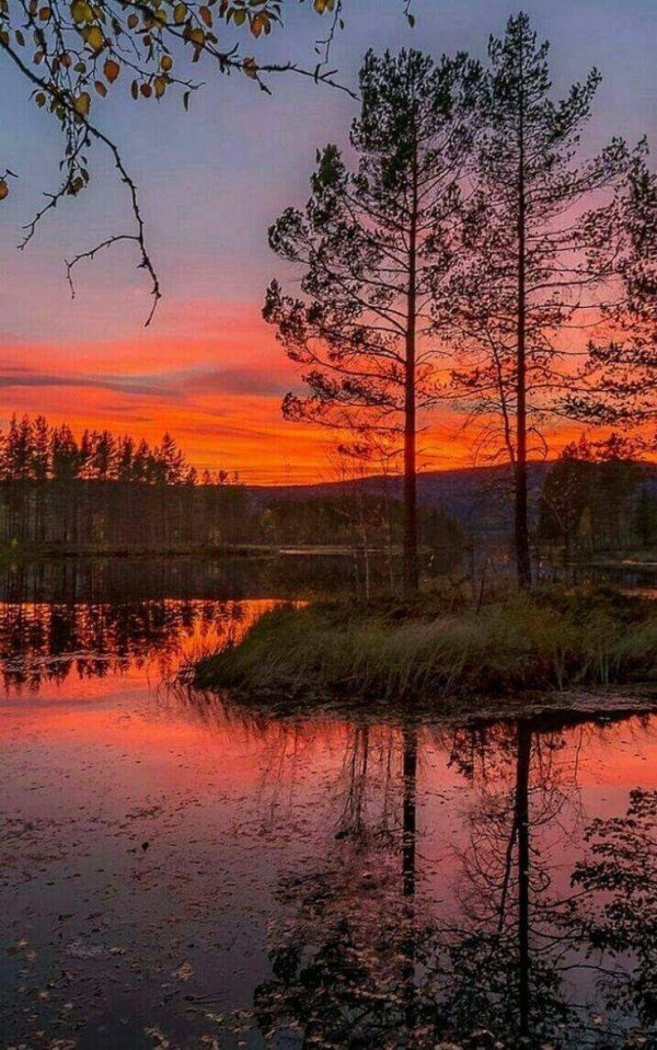 вечерние пейзажи