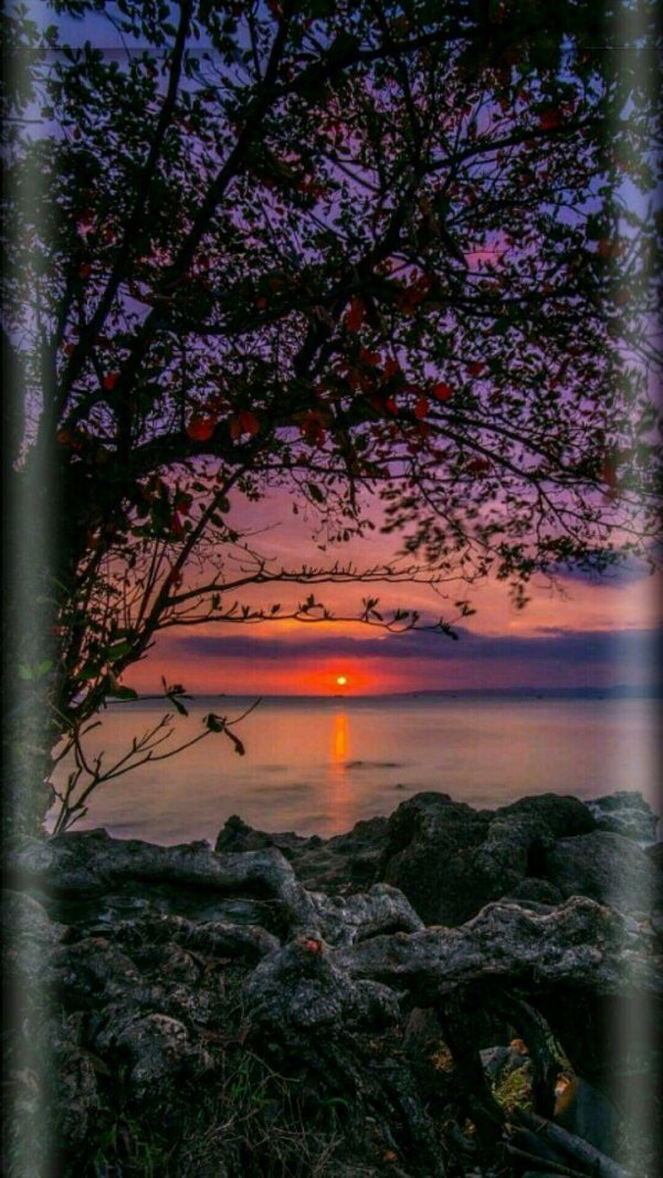 профессиональные пейзажи