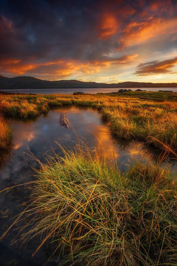 пейзажи фотографии