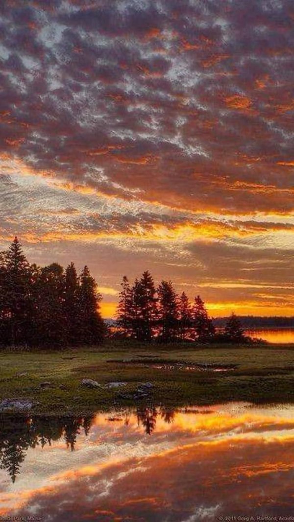 пейзажи красивые