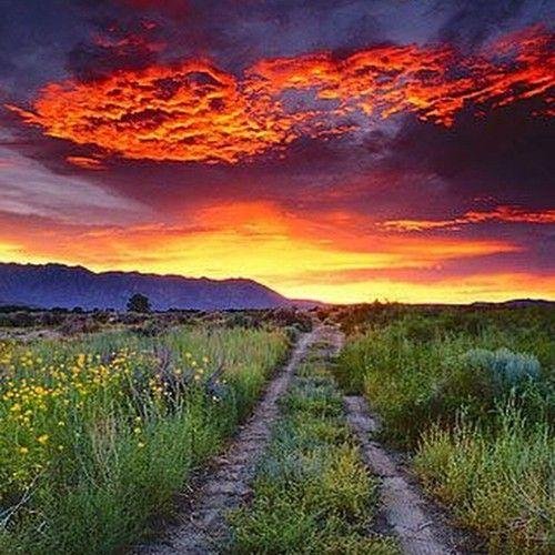 закат дорога