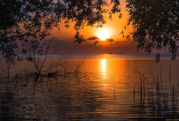 пейзаж вечер