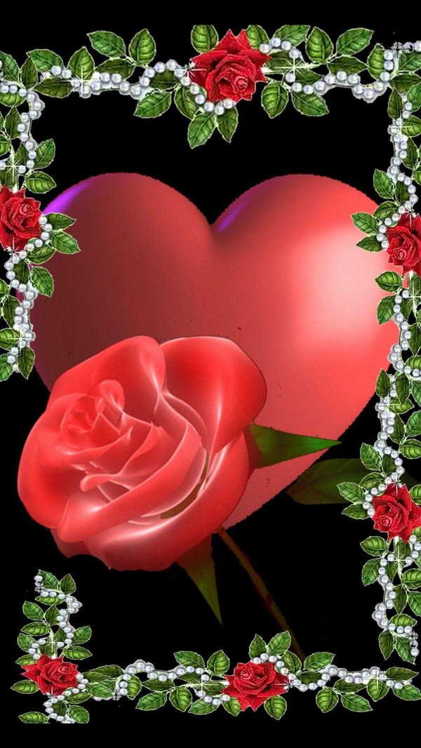 розы сердечком