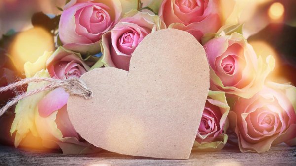 цветок сердечко