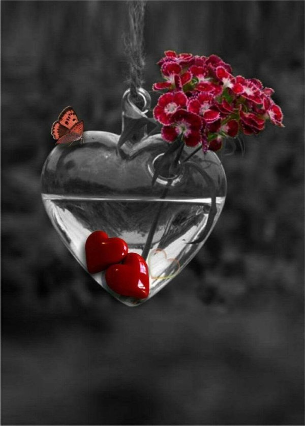 сердца красивые