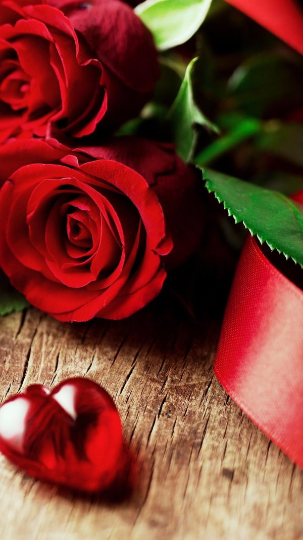 красная роза