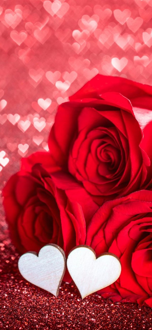 роза любви