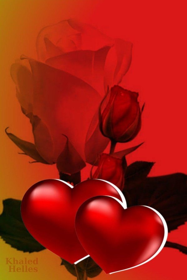 сердца любви