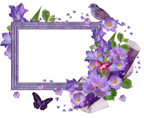 сиреневая рамочка