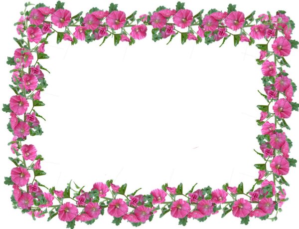 рамочка с цветами