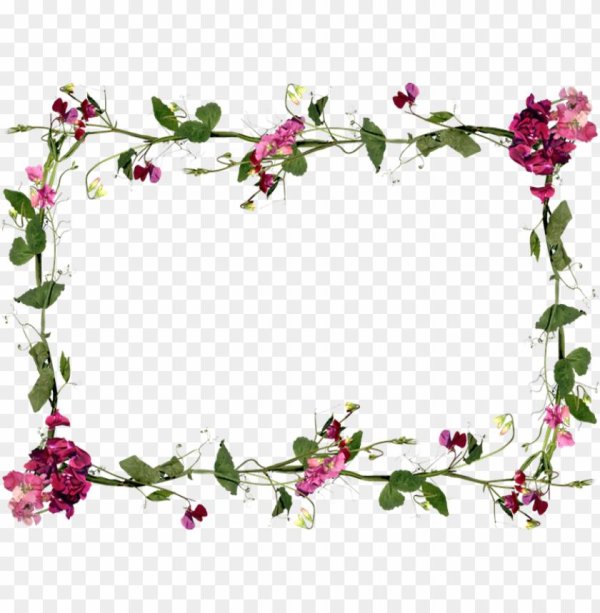 цветочная рамка