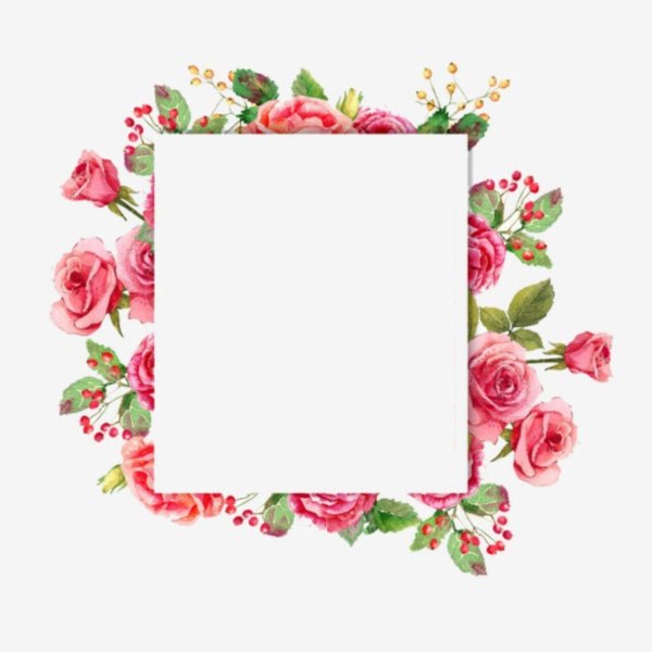 акварельные цветочные рамки