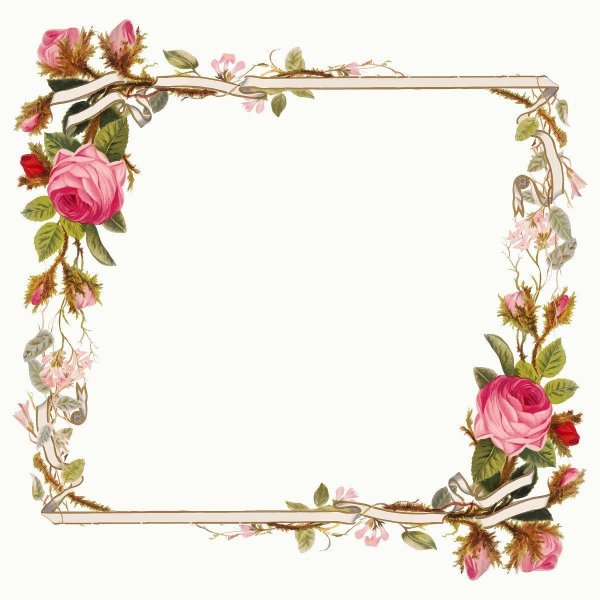 Рамочки с цветами