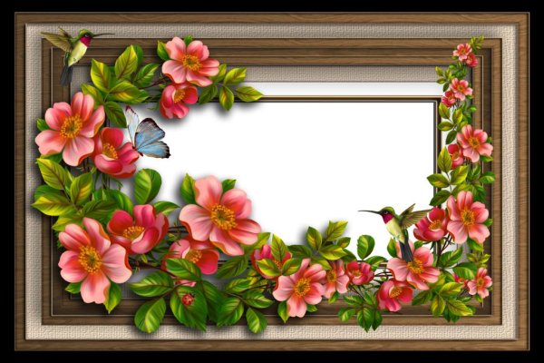цветы в рамке