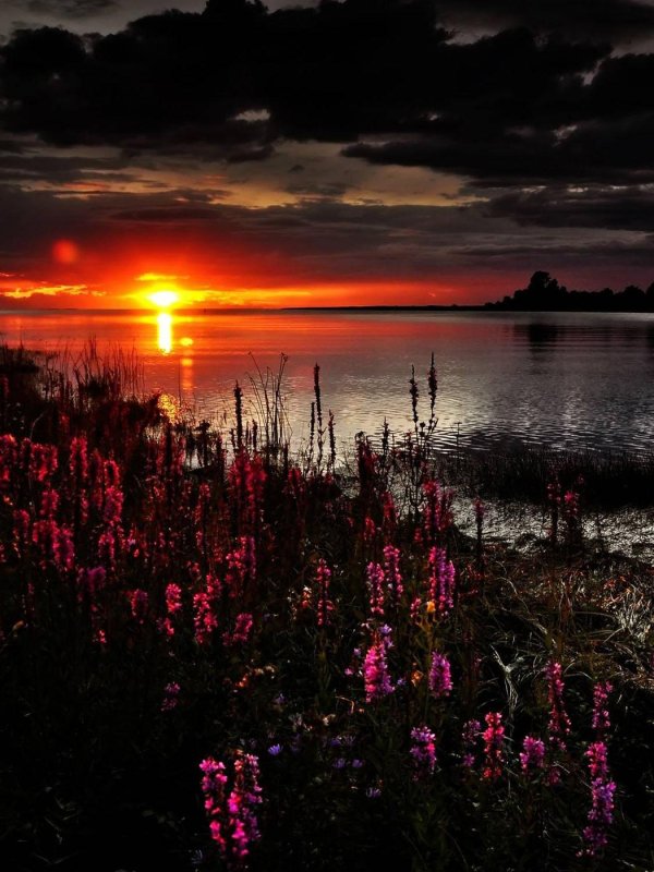 пейзажи красивые