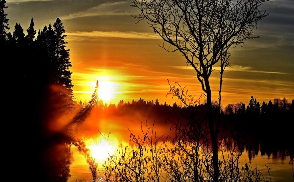 Природа вечер