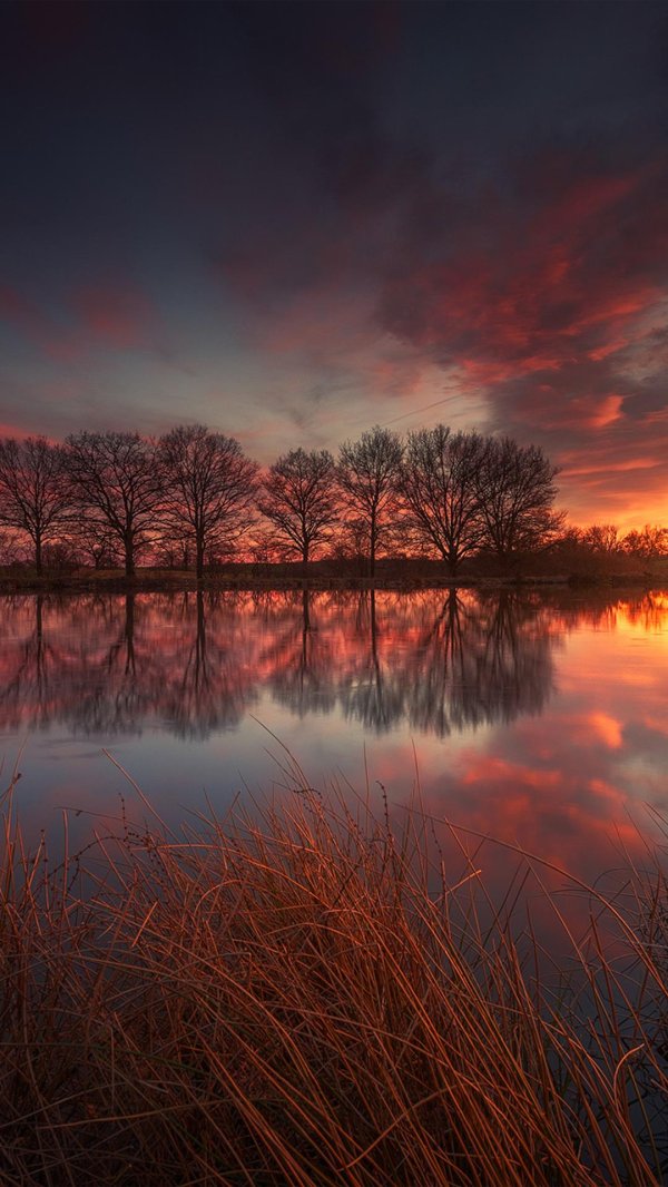 вечерние пейзажи