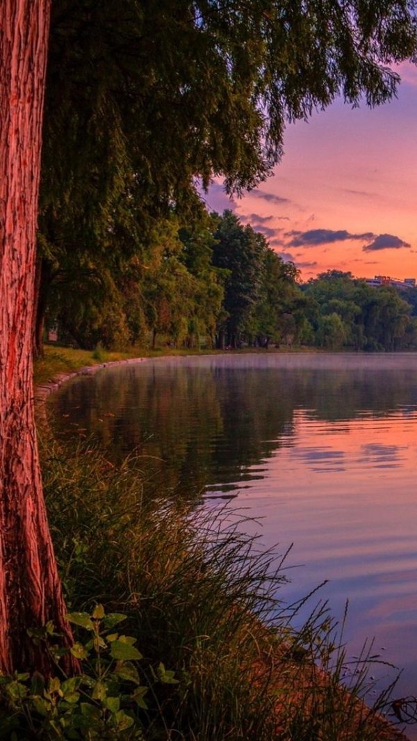 вечерние пейзажи