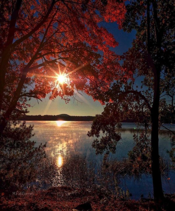 осень солнце